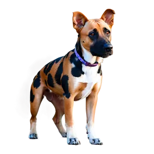 Spotted Dog Transparent PNG Gad88 PNG