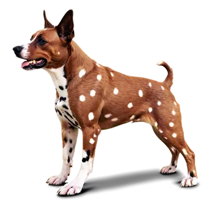 Spotted Dogs PNG 05242024 PNG