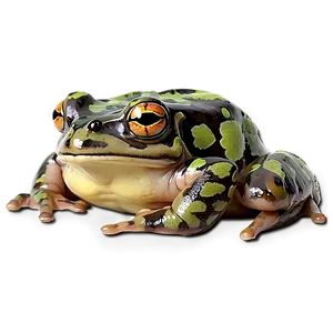 Spotted Frog Clipart PNG Yex
