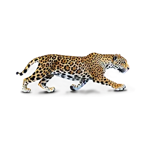 Spotted Jaguar PNG Ixm41