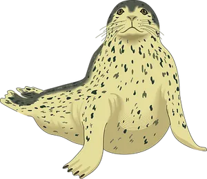 Spotted Seal Illustration PNG image
