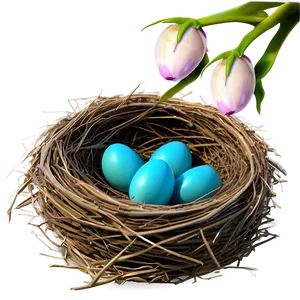 Spring Bird Nest Png 06212024 PNG image