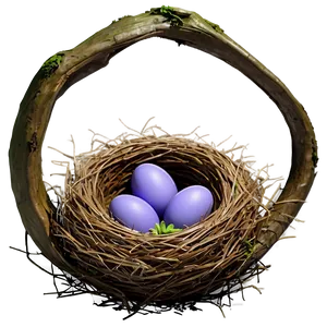 Spring Bird Nest Png Dmd PNG image