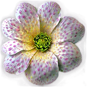 Spring Bloom Pattern PNG 06262024 PNG