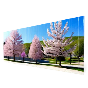 Spring Blossom Park Photo Png Djm PNG image