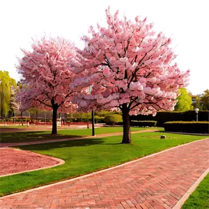 Spring Blossom Park Photo PNG Kie
