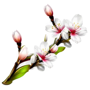 Spring Blossoms PNG 04292024