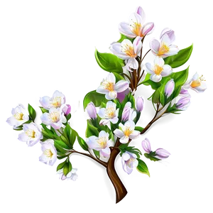 Spring Blossoms PNG 74