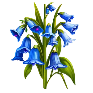 Spring Bluebell Flower PNG 71 PNG