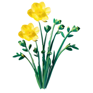 Spring Buttercup PNG Sta51 PNG
