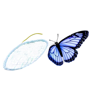 Spring Butterfly Net PNG Qto PNG