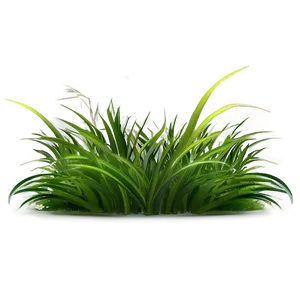 Spring Cartoon Grass PNG Fex11 PNG