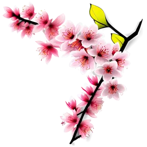 Spring Cherry Blossom Scene PNG 05032024