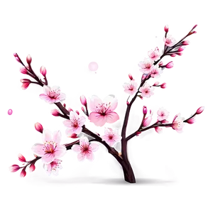 Spring Cherry Blossom Scene Png Tdf30 PNG image