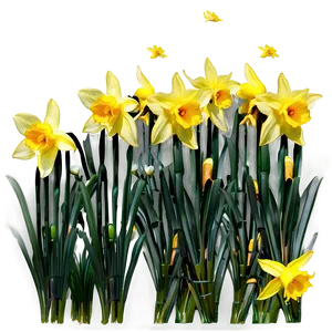 Spring Daffodils Field Png 31 PNG image