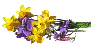 Spring Daffodilsand Violets Bouquet