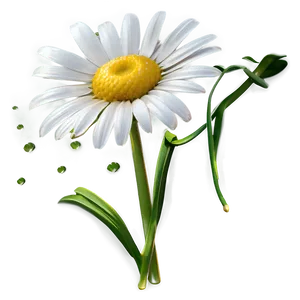 Spring Daisy Png 05212024 PNG image