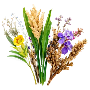 Spring Dried Flower Bouquets Png 21 PNG image