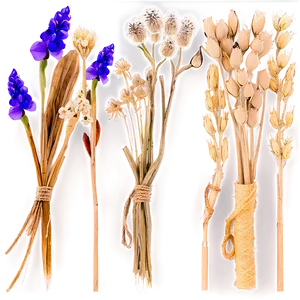 Spring Dried Flower Bouquets Png 28 PNG image