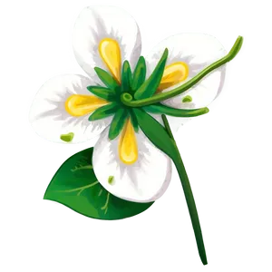 Spring Flower Blossom Png 18 PNG image