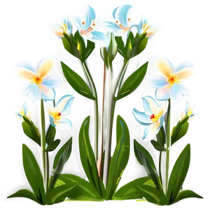 Spring Flower Outline PNG 25 PNG