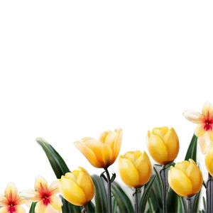 Spring Flowers Photo Border PNG 06262024 PNG