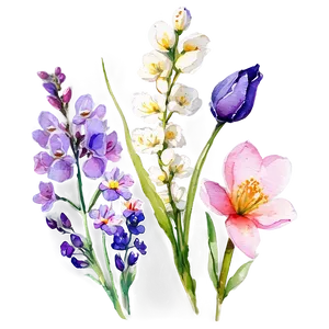 Spring Flowers Watercolor Png Bno PNG image