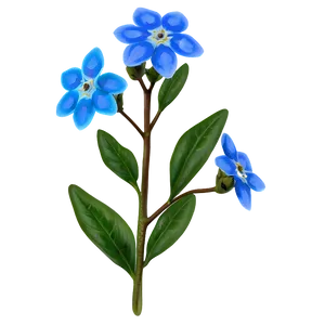 Spring Forget-me-not PNG 2 PNG