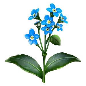 Spring Forget-me-not PNG 56 PNG
