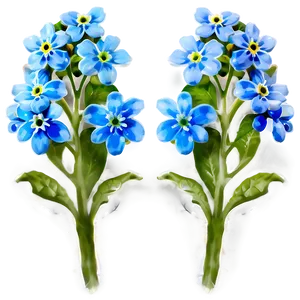 Spring Forget-me-not PNG Ago42 PNG
