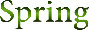 Spring Framework Logo PNG image