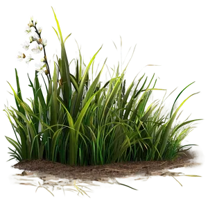 Spring Grass Landscape Png 04292024 PNG image