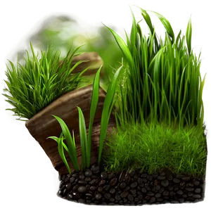 Spring Green Grass PNG 06262024