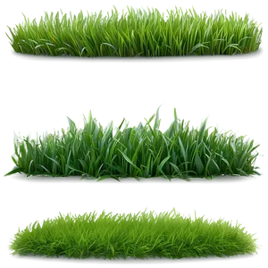 Spring Green Grass Png 06262024 PNG image