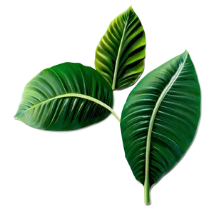 Spring Green Leaves PNG 05212024