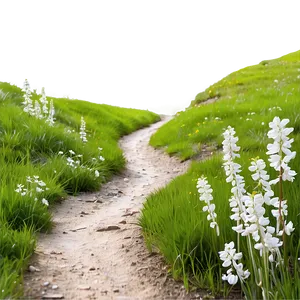Spring Hiking Trail PNG 05212024 PNG
