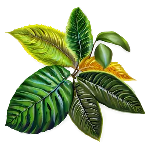 Spring Leaves PNG 78