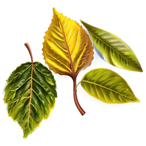 Spring Leaves Png Ose49 PNG image