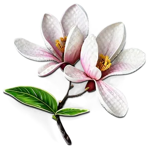 Spring Magnolia Flower Art PNG 9 PNG