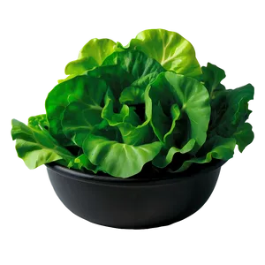 Spring Mix Lettuce Png 14 PNG image