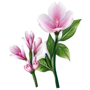 Spring Pink Flowers PNG 05242024