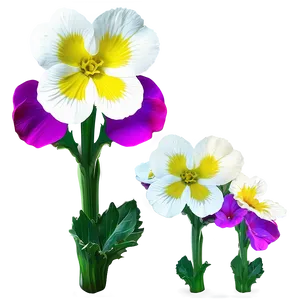 Spring Primrose Flower PNG 06272024 PNG