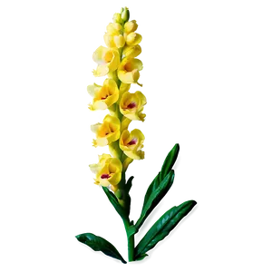 Spring Snapdragon PNG 67 PNG