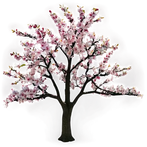 Spring Tree Branches Png 06282024 PNG image