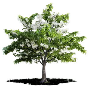 Spring Tree Elevation PNG Gjj27 PNG