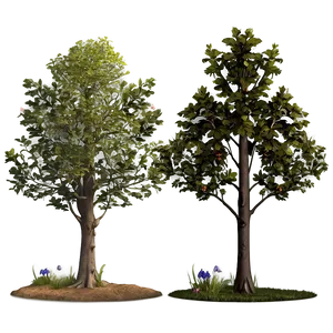 Spring Tree Elevation PNG Irw69 PNG