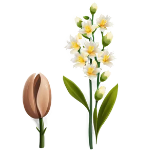Spring Wildflower Landscape PNG 76 PNG