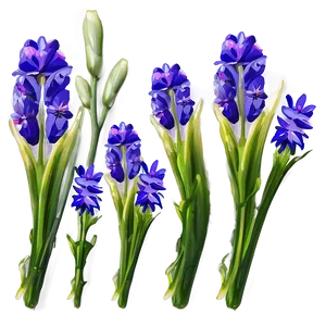Spring Wildflower Landscape PNG Tpl66 PNG