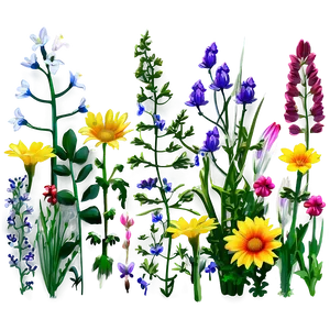 Spring Wildflowers Field PNG 75 PNG