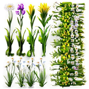 Spring Wildflowers Field PNG Rei43